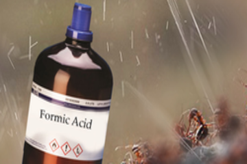 que es el acido formico